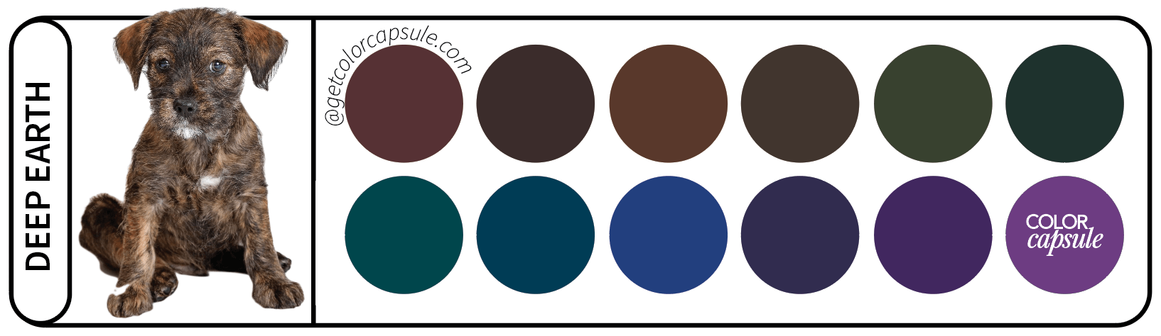 Analysis Deep Earth Dog Color Palette